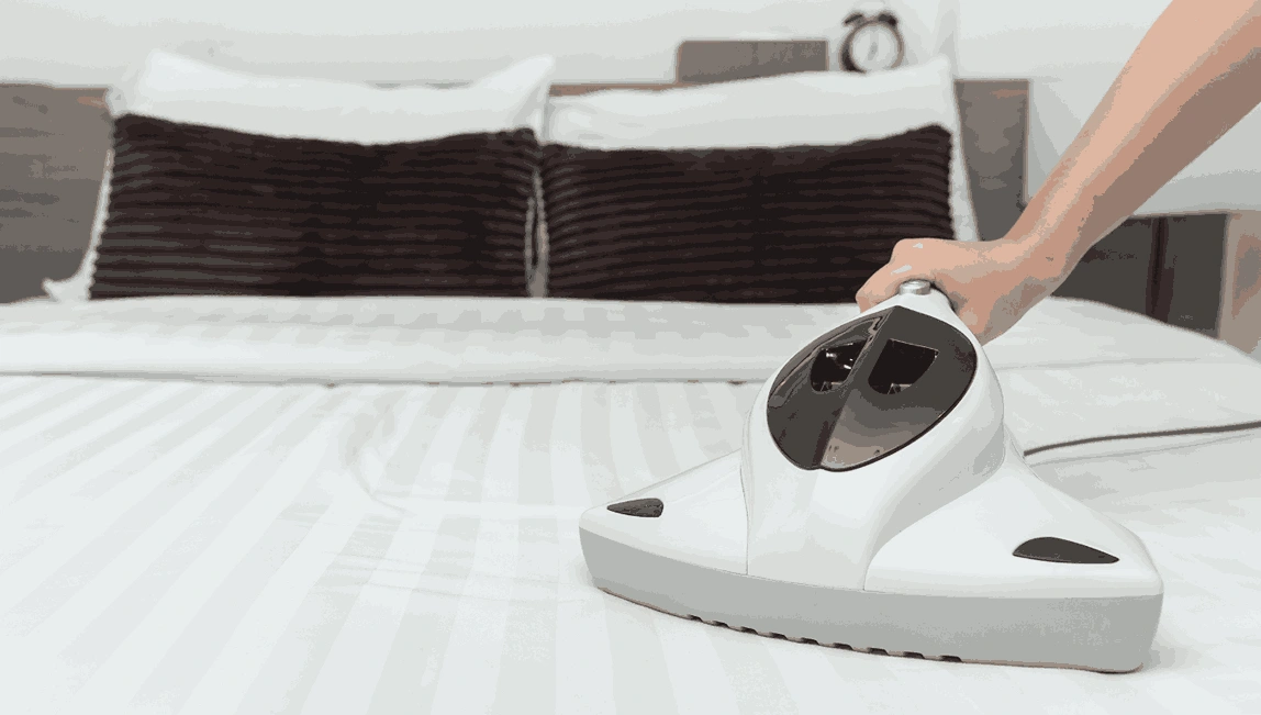 Professional Mattress Cleaning Riddells Creek